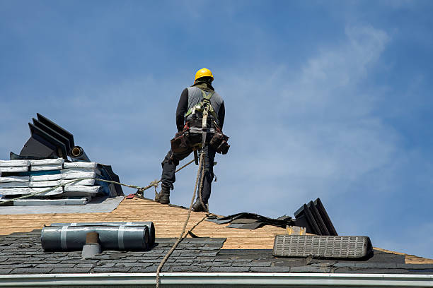 Professional Roof Replacement technician working in Lyles, TN